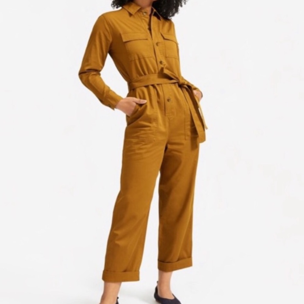 Everlane Tie Jumpsuit